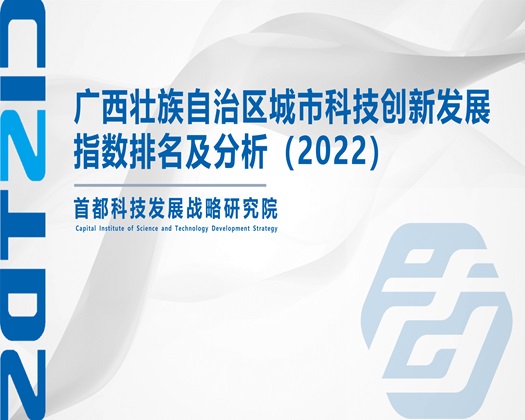 女的乱叫的网站【成果发布】广西壮族自治区城市科技创新发展指数排名及分析（2022）